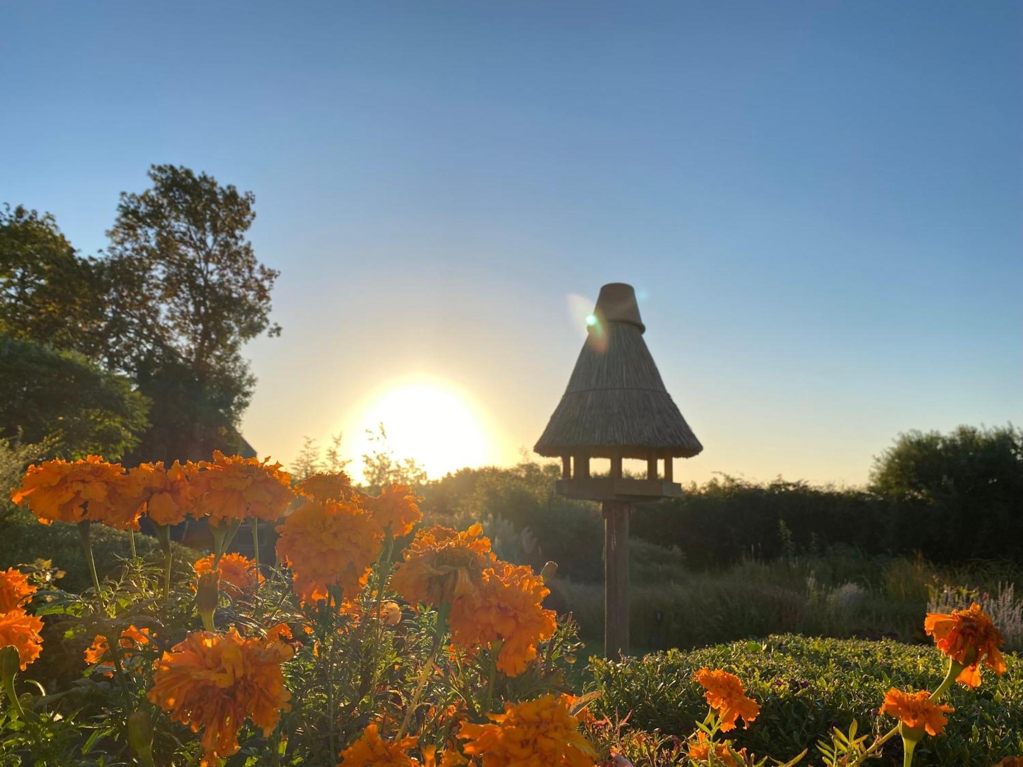 Hotel & Restaurant Zum Kap Arkona Putgarten Екстериор снимка